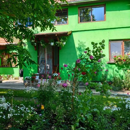 Csergo Ildiko Vendeghaz Hotel Lazarea Ngoại thất bức ảnh